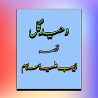 Qessa Ayoub Alay Salam, Pt. 2 - Waheed Gul