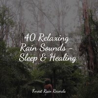 LoFi Rain in the Shed - Rain Sounds Sleep & Oasis de Détente et Relaxation & Alpha Waves