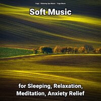 Magnificent Sleep Music - Relaxing Spa Music & Yoga Music & Yoga
