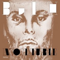Insostituibile - Big Fish & Andrea Nardinocchi