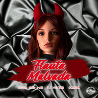 FLAUTA MALVADA - DJ Hunter & Mc Olanda & Higor Iron Man