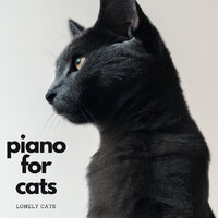 Piano Whispers - Piano for cats & Music For Cats