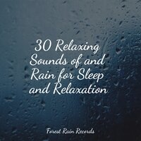 Pleasant Rains - Rain Spa & Yoga Trainer & Relajantes sonidos de lluvia