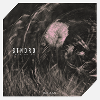 DEJA VU II - stndrd