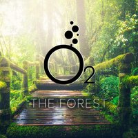 The Forest - O2