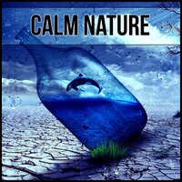 Zen Garden - Universe of Nature Orchestra