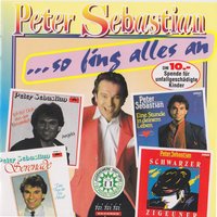 Laß mich los, wen du mich noch liebst - Peter Sebastian