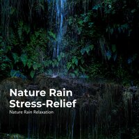 Tranquil Earthy Rain - Rain Recorders & Rainfall & Nature Rain Relaxation