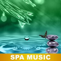 Zen Spa - Unforgettable Paradise SPA Music Academy
