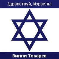 Милуим - Вилли Токарев