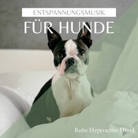 Ruhige, Langsame und Friedliche Musik - Entspannung Tribe & Entspannungsmusik Klavier Akademie