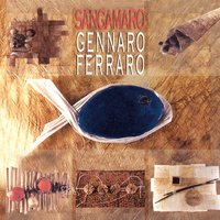 Cielo attorno - Gennaro Ferraro