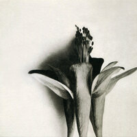 Our Music - Eiji Mitomi
