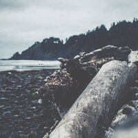 In a Straight Line - Pepo Galán