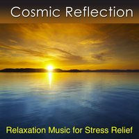 Cosmic Reflection With the Forest - Dr. Harry Henshaw