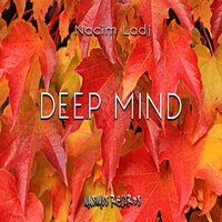 Deep Mind - Nacim Ladj
