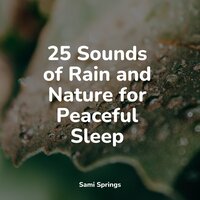 Rainy City - Nature Ambience & Binaural Beats & Calming Sounds