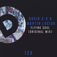 Flying Soul - David S-k & Martin Luciuk