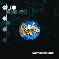 Love Your Ways - Salmonella Dub