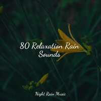 Storm & Wind Outside - Pacific Rim Nature Sounds & The White Noise Zen & Meditation Sound Lab & Rain Sounds & White Noise