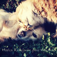 Delightful Endings - Música para Relaxar Maestro & Musica Para Meditar y Relajarse & Música Relajante para Perros