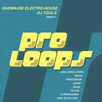 Dadmau5e Electro-House Percu 128 - South Killah