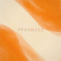 Groove Galaxy - Paradees