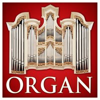 Organ Concerto No. 2 in B-Flat Major, Op. 4, HWV 290: II. Adagio - Allegro - Георг Фридрих Гендель & Budapest Strings & Gabor Lehotka