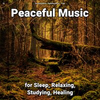 Relaxing Music Pt. 65 - Soothing Music & Relaxing music & Yoga