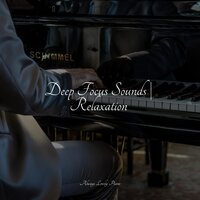 Day Dream - Exam Study Classical Music Orchestra & Piano Relax & Romantic Piano