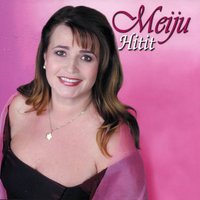 Viet Itsekontrollin - Meiju Suvas