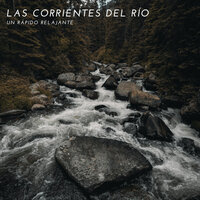 Sonidos De Una Suave Corriente - Naturaleza Sonidos & Musica para Estudiar & Música Relajante para Bebés