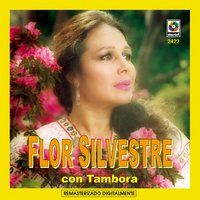 Desolacion - Flor Silvestre