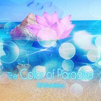 Entangle Me (Wellness & Spa) - Paradise Spa Music Academy