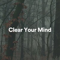 Deep Spiritual Times - Great Meditation Guru