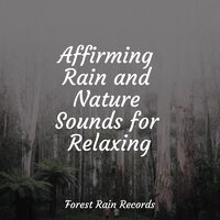 Rainy Night - Relaxamento & Yoga Namaste & Rain Sounds & White Noise