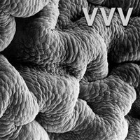 The Decent - VVV