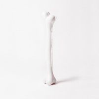 Restructure 2 - Moritz Von Oswald Trio