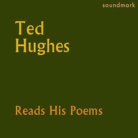 Sheep (Part 1) - Ted Hughes