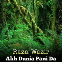 Spin Storai Da Ghaza Wo - Raza Wazir