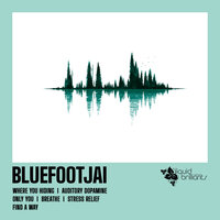 Stress Relief - Bluefootjai
