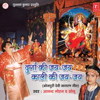 Darbar Nirala Hai - Anand Mohan & Sonu
