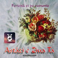 Bucuroși de oaspeți - Ion Dolanescu