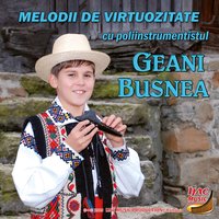 Sârba lui Florea Netcu - Geani Busnea