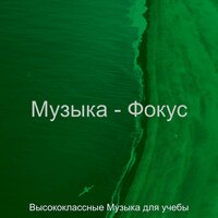 Созерцая (Изучение) - Высококлассные Музыка для учебы