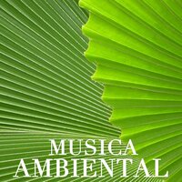 Home, Musica Relajante - Musica Ambiental Clube