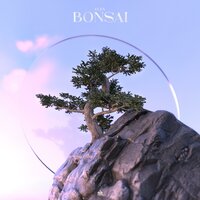 Bonsai - ELEX