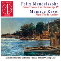 Piano Trio No. 1, Op. 49: IV, Finale. Allegro assai appassionato - Cheung Chau & Blanka Bednarz & Sławomir Dobrzański & Atma Trio & Феликс Мендельсон