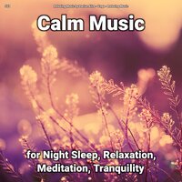 Reiki Music - Relaxing Music by Darius Alire & Yoga & Relaxing music