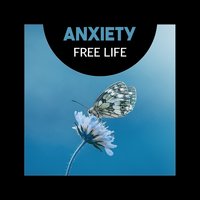 Night Ambience - Relieving Stress Music Collection